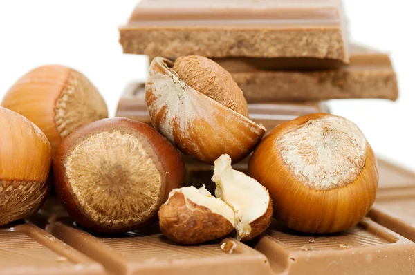 Chocolate and hazelnuts on white — Stock Photo, Image