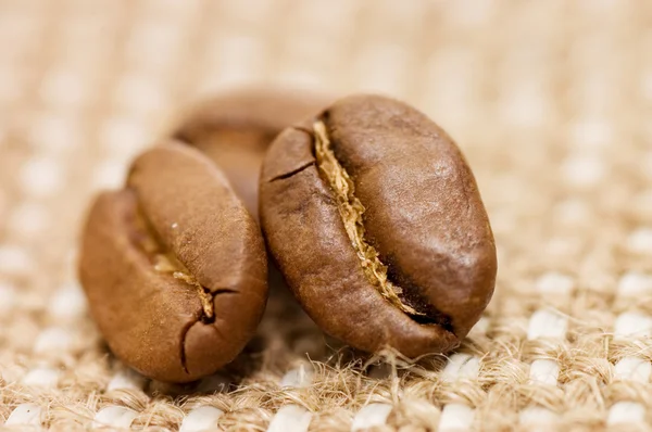 略奪のコーヒー豆 — ストック写真