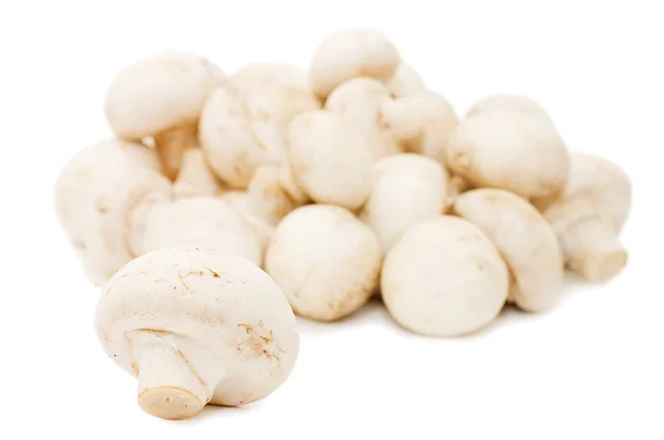 stock image Heap of of mushroom champignon