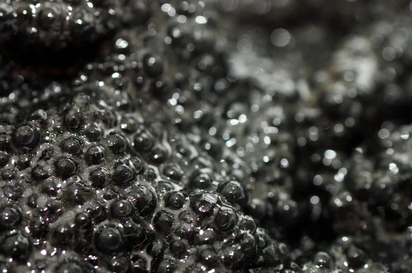 Black fish caviar close up — Stock Photo, Image