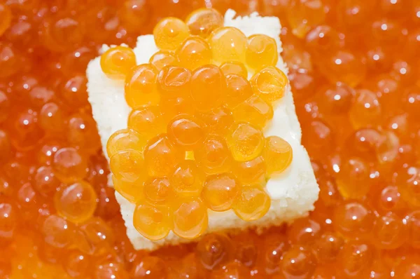 Pequeno sanduíche com manteiga e caviar — Fotografia de Stock