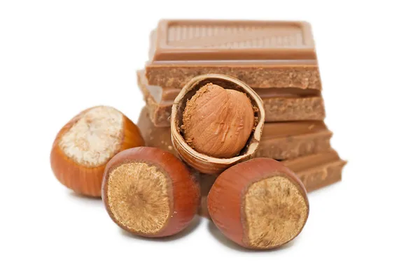 Chocolate y avellanas sobre blanco —  Fotos de Stock