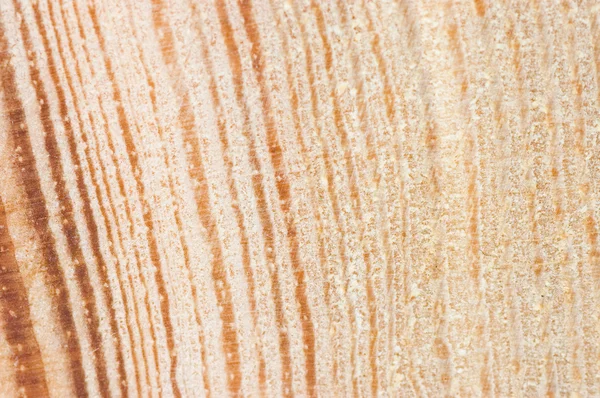 Schnitt eines alten Baumes. Nahaufnahme — Stockfoto