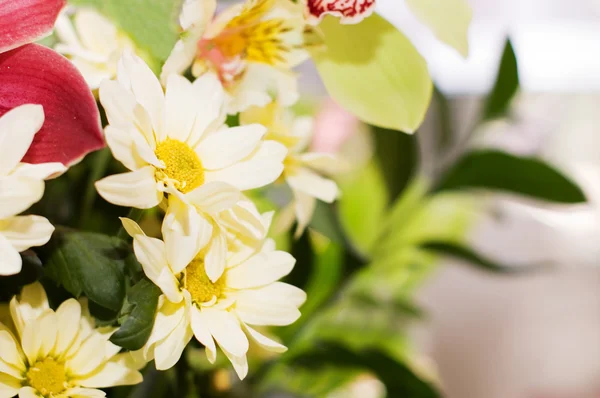 Buquê com várias flores bonitas — Fotografia de Stock