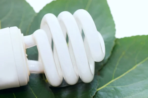 Энергосберегающая лампочка на зеленых листьях — стоковое фото