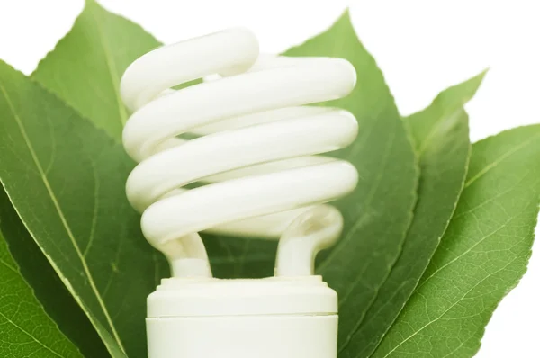 Enerji tasarruflu ampul üzerinde yeşil yaprakları — Stok fotoğraf