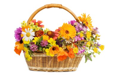 Beautiful flowers in a basket isolated on white clipart