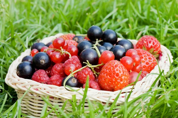 成熟的莓果在篮子里 — 图库照片