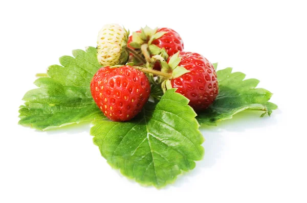 하얀 배경에 분리되어 있는 신선 한 딸기 — 스톡 사진