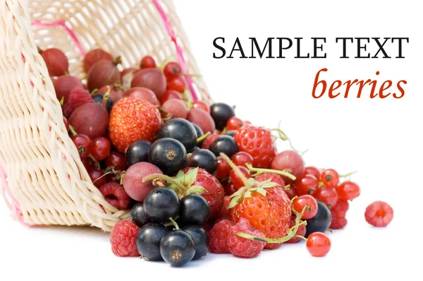 Ripe berries in a basket isolated on white background — Stock Photo, Image