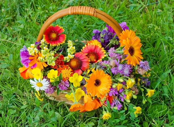 Bellissimi fiori in un cesto — Foto Stock