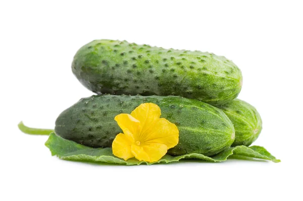 Зелений огірок овоч з листям і квітами ізольовані — стокове фото