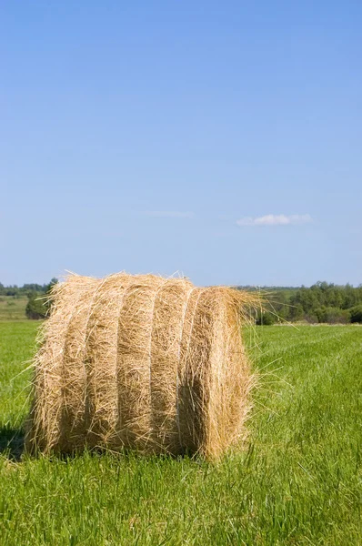 Haystacks harvest against the skies — Stock Photo, Image