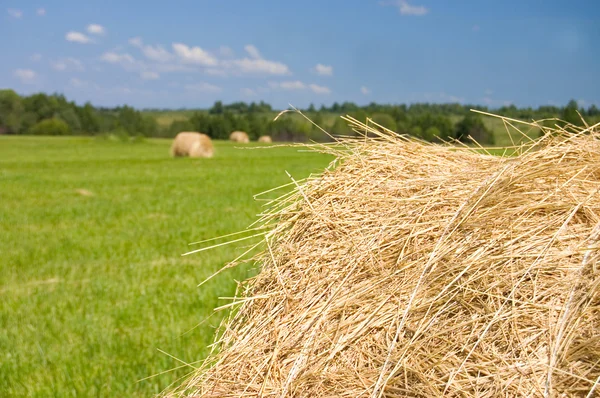Haystacks harvest against the skies — Stock Photo, Image