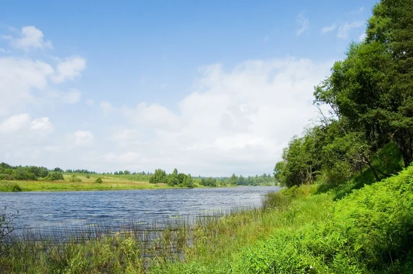 Летний пейзаж с рекой и голубым небом — стоковое фото