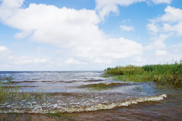 Stock image Summer landscape with by sea and blue sky