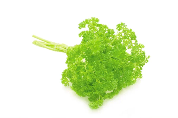 Bouquet of parsley isolated on white background — Stock Photo, Image