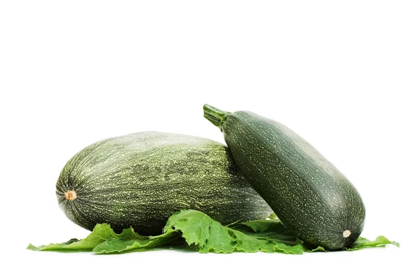 Πράσινο μυελό των λαχανικών απομονωμένο σε λευκό φόντο — Φωτογραφία Αρχείου