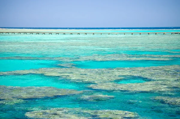 珊瑚海岸的红海 — 图库照片