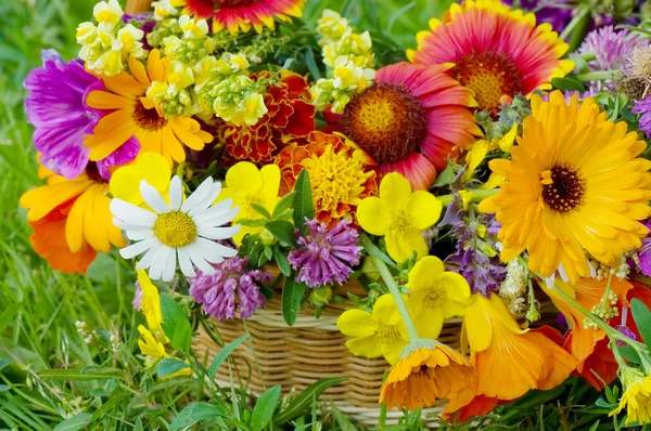 Krásné květiny v košíku — Stock fotografie