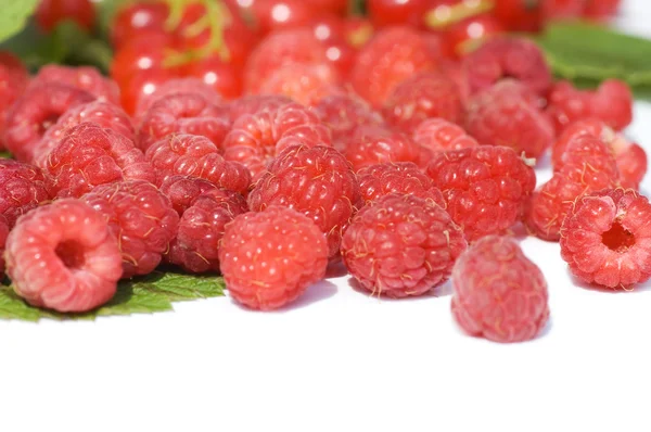 Спелые ягоды на белом фоне — стоковое фото