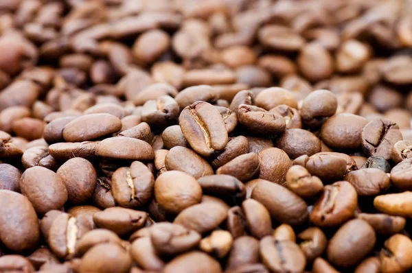 Gros plan macro shot de grains de café — Photo