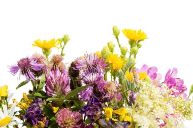 Bouquet of wild flowers isolated on white background clipart