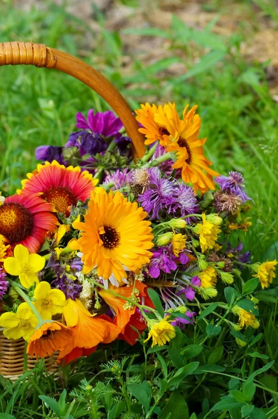 Krásné květiny v košíku — Stock fotografie