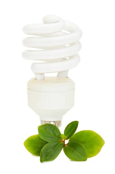 Enerji tasarruflu ampul üzerinde yeşil yaprakları — Stok fotoğraf