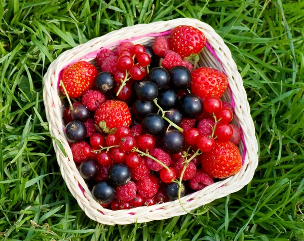 Спелые ягоды в корзине — стоковое фото