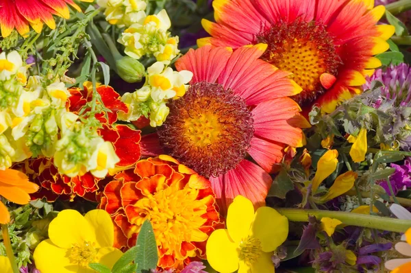 Фон з різнокольоровими квітами — стокове фото