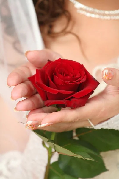 Роза в руках невесты — стоковое фото