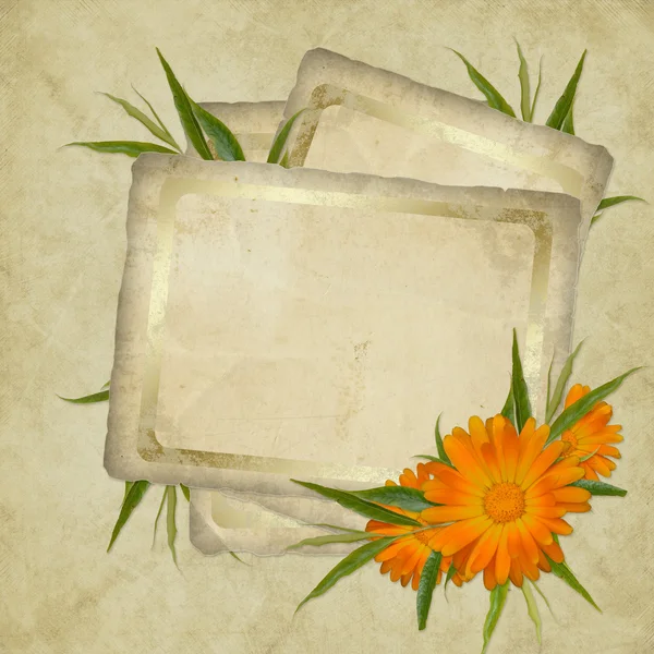 Вінтажна листівка на свято з квіткою — стокове фото