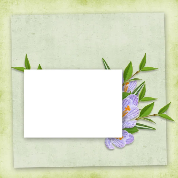 Carta per la vacanza con fiori — Foto Stock