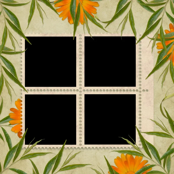 花からホリデー カード — ストック写真