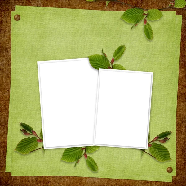 Card for the holiday with plant — Stock Photo, Image