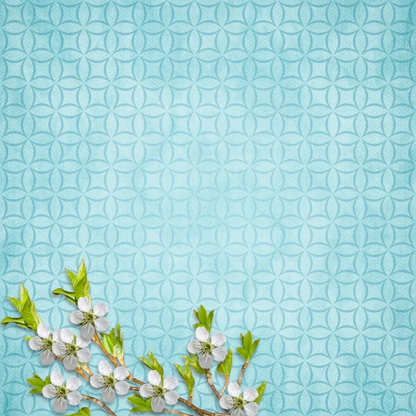 Cartão de férias com flores — Fotografia de Stock