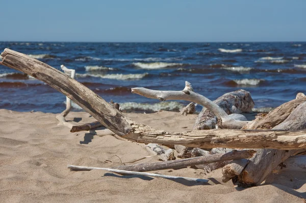 Beach of the Baltic sea — Stock Photo, Image