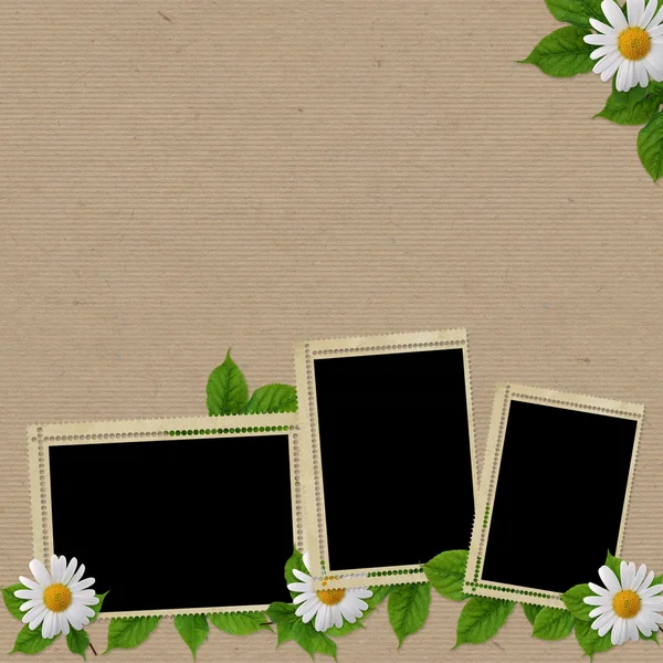 Wzór karty na wakacje z kwiatem — Zdjęcie stockowe