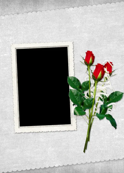 Κάρτα για τις διακοπές με κόκκινο τριαντάφυλλο — Φωτογραφία Αρχείου