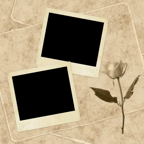 Ročník karta pro dovolenou s růží — Stock fotografie