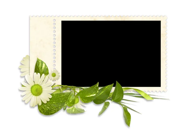 Na białym tle delikatna ramka trzy zdjęcia z kwiatami — Zdjęcie stockowe