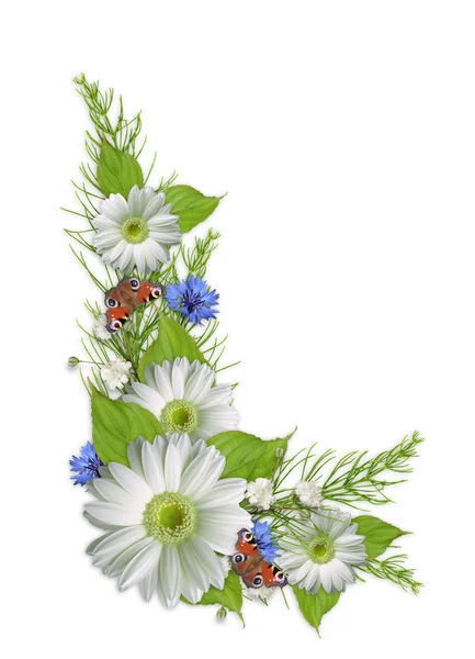 Ramillete con flores de verano de colores aislados — Foto de Stock