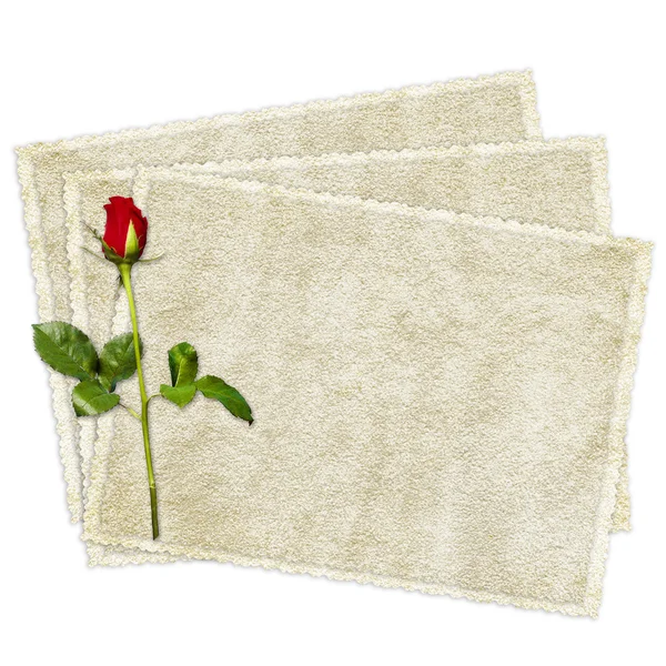 Vintage card decorated by composition from red rose — Stock Photo, Image