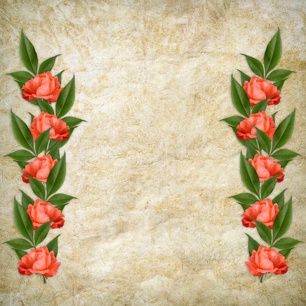 Вінтажна листівка на свято з червоною трояндою — стокове фото