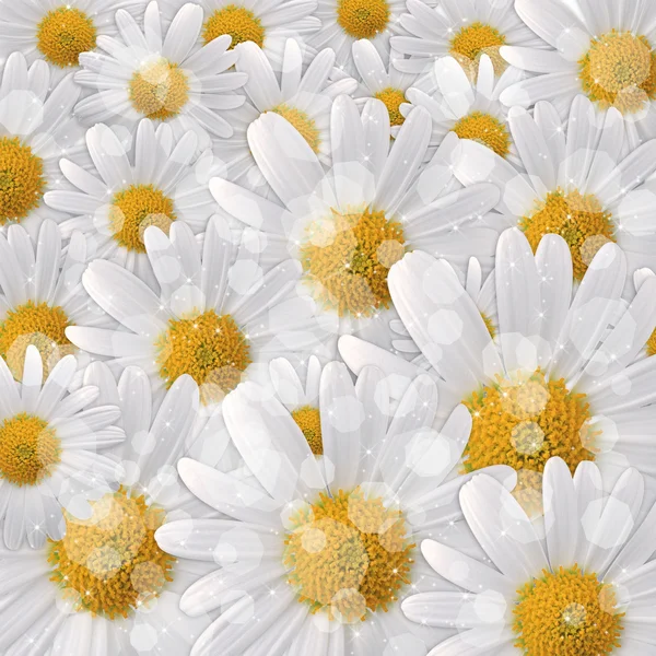 Cartão para o feriado no fundo das flores — Fotografia de Stock