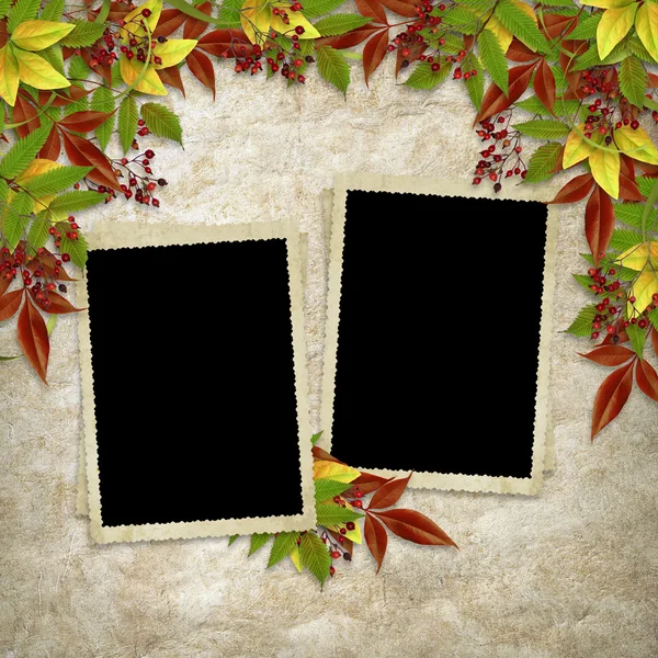 Cartão para as férias com folhas de outono — Fotografia de Stock