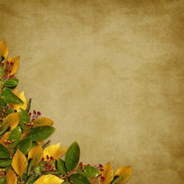 Открытка на праздник с осенними листьями — стоковое фото