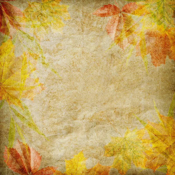 Kártya, az ünnep az őszi levelek — Stock Fotó