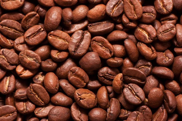 Kávová zrna Stock Snímky